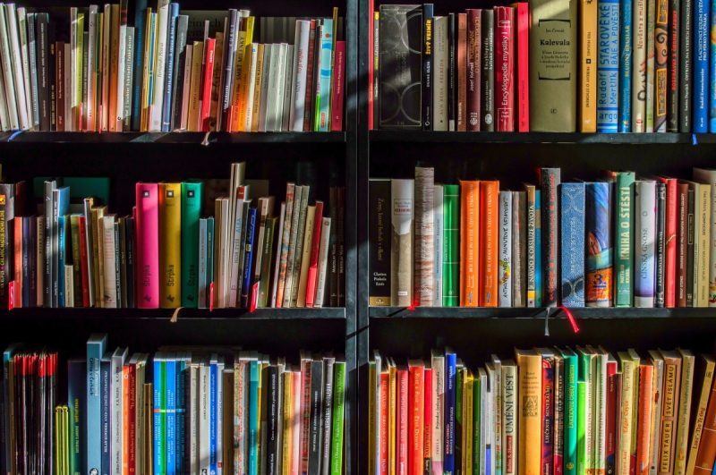 vitrine-HYERES-min_books_bookstore_book_reading_shop_writer_sale_books_read-822866